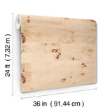 Burlwood Natural Wallpaper with Metallic Wood Veneer Feature Wall - York GV0266