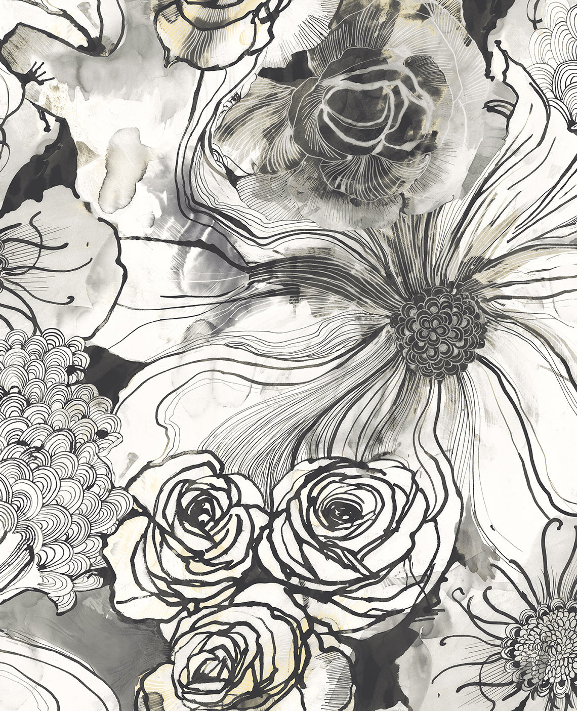 Ink Rose Onyx by Harry & Grace Peel and Stick Floral Wallpaper – Harry & Grace HG10100-Sample