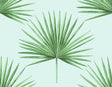 Pacific Palm peel and stick wallpaper in celeste and jade with green palm fronds on a light aqua background.