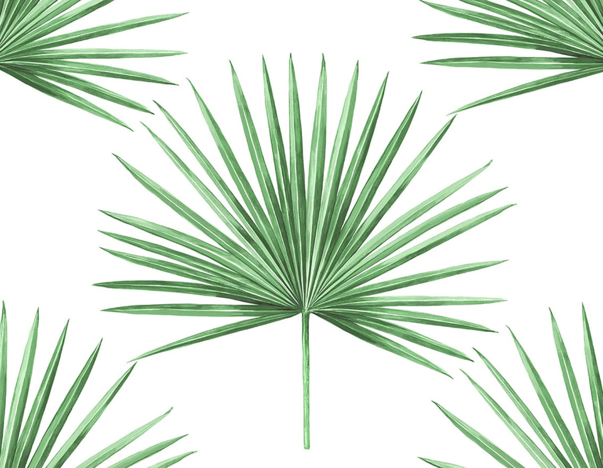Pacific Palm green palm frond peel and stick wallpaper on white background