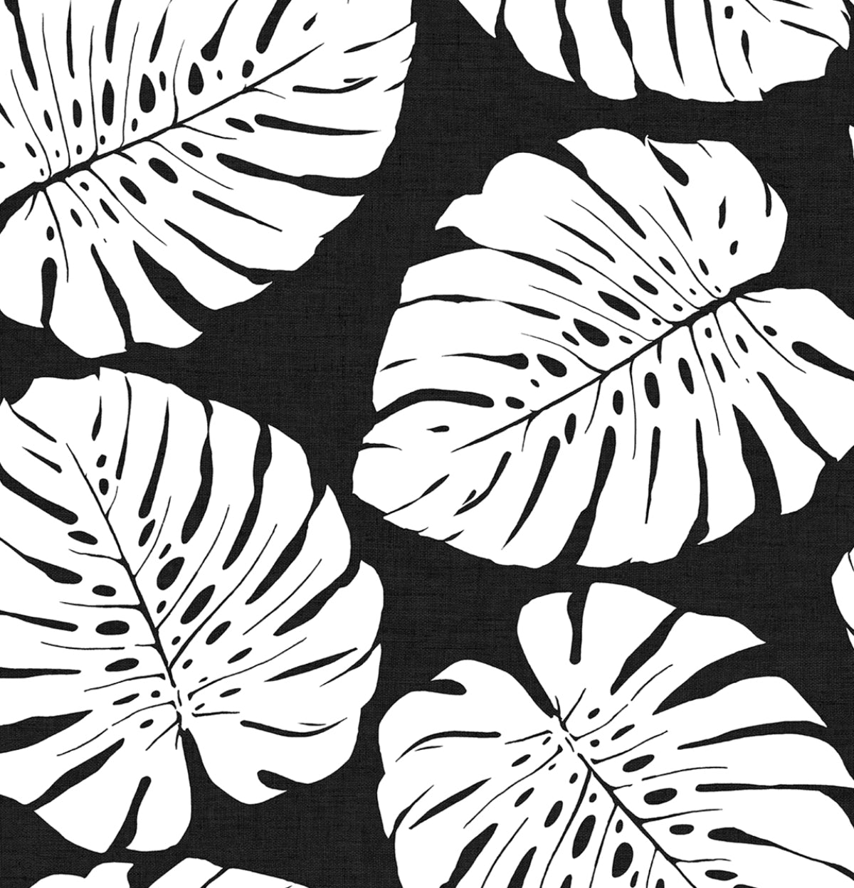 Black and white monstera leaf tropical botanical peel and stick wallpaper pattern