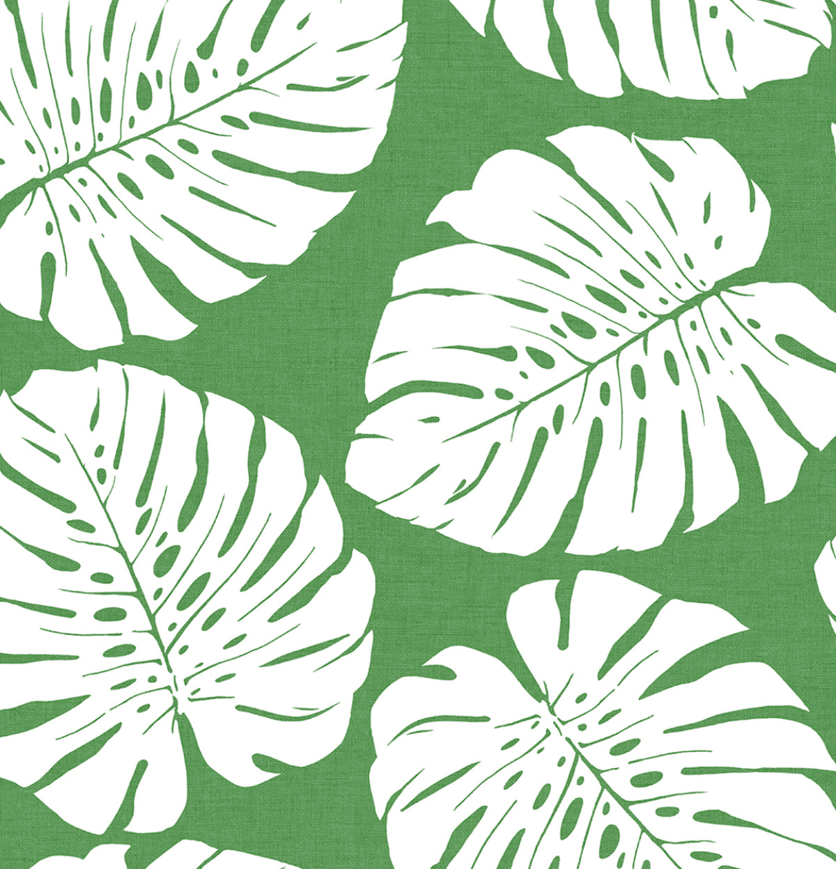Green and white monstera leaf pattern peel and stick wallpaper