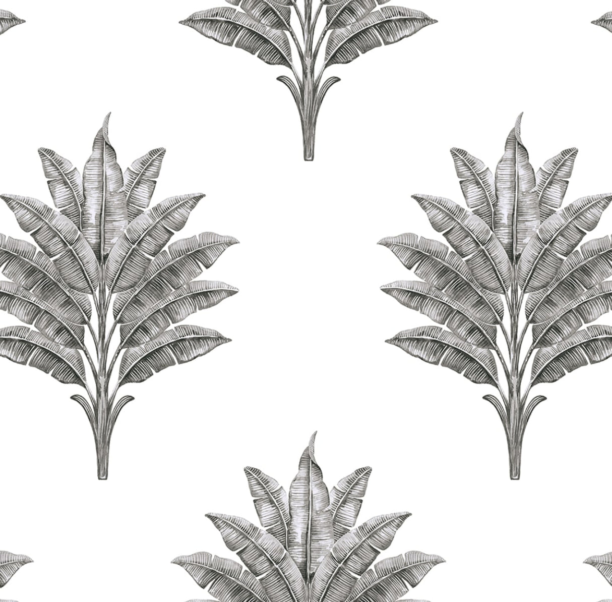 Sea Breeze Palm charcoal palm motif peel and stick wallpaper pattern