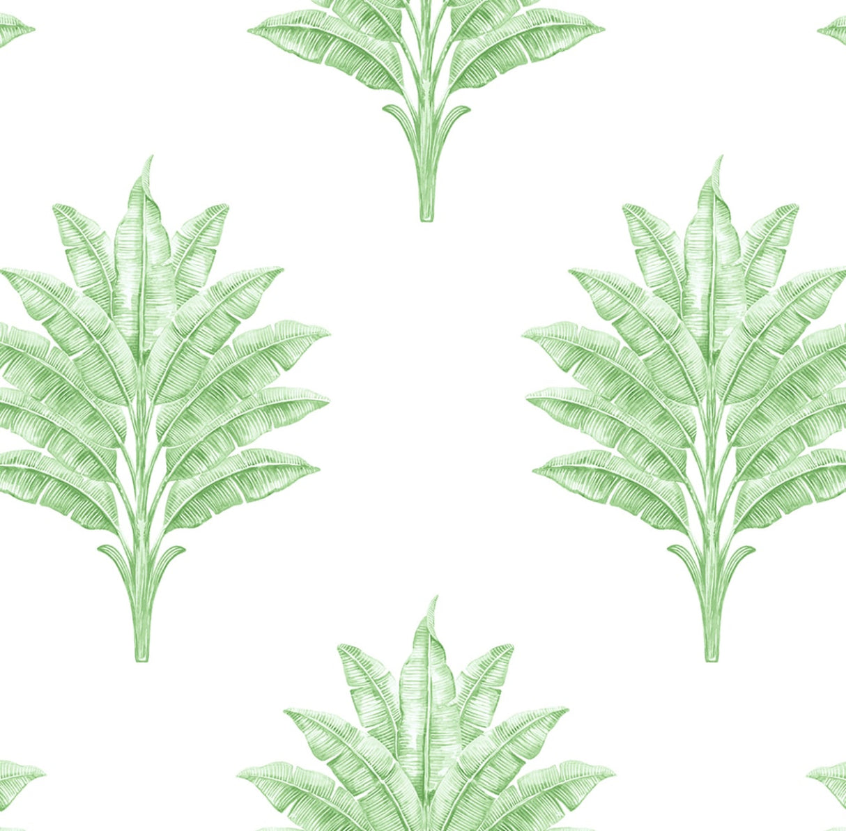Sea Breeze Palm green palm motif peel and stick wallpaper on white ground