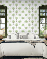 Montgomery Palm Green Tea by Harry & Grace Peel and Stick Palm Tree Peel & Stick Wallpaper – Harry & Grace HG10704