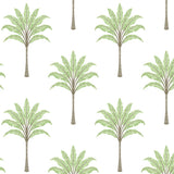 Montgomery Palm peel and stick wallpaper in Green Tea with repeating palm trees on a light ground