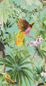 Aqua tropical botanical peel and stick wallpaper with colorful birds, palms, and lush greenery.