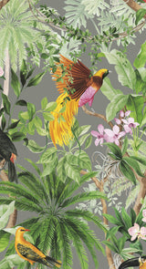 Tropical Bird peel and stick wallpaper with colorful birds and lush tropical foliage on a grey background