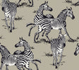 Playful Zebras peel and stick wallpaper pattern with zebras