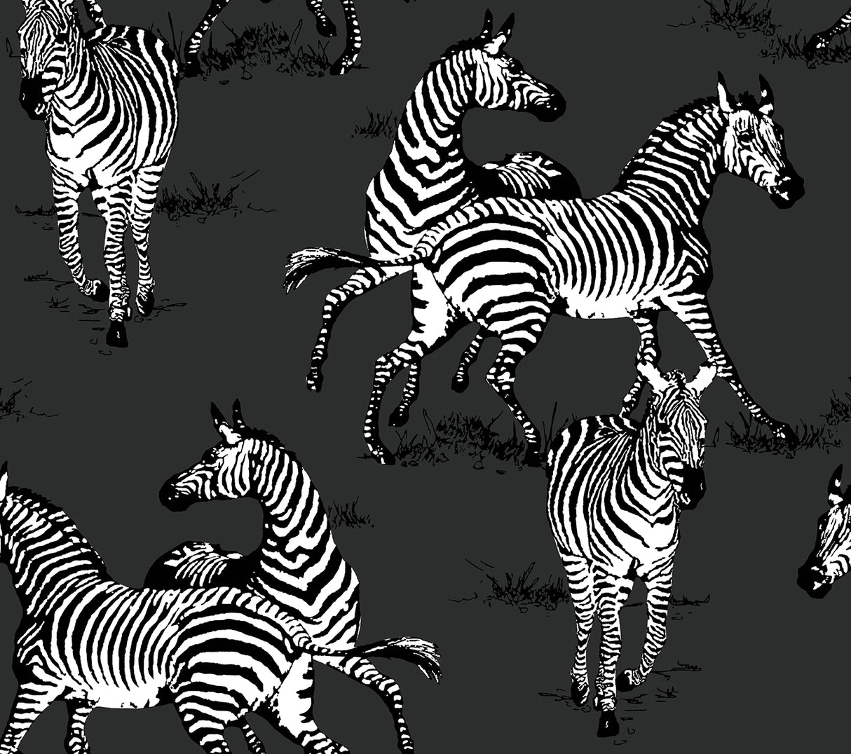 Charcoal peel and stick wallpaper with playful white-and-black zebras in a repeating animal print pattern.