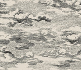Clouds Beige & Black by Harry & Grace Peel & Stick Semi-Gloss Vinyl Cloud Wallpaper – Harry & Grace HG11210 -Sample