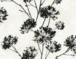 Black dandelion floral silhouette peel and stick wallpaper on an ivory background (Ebony colorway).