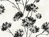 Black dandelion floral silhouette peel and stick wallpaper on an ivory background (Ebony colorway).