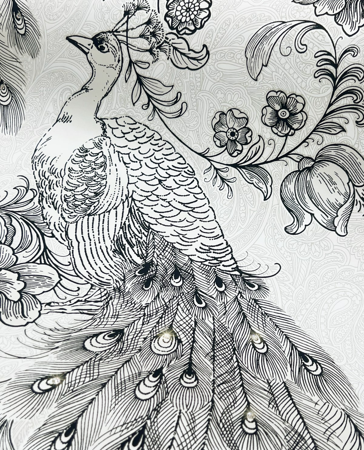 Peacock Ivory & Ebony by Harry & Grace Peel and Stick Bird Wallpaper – Harry & Grace HG12200