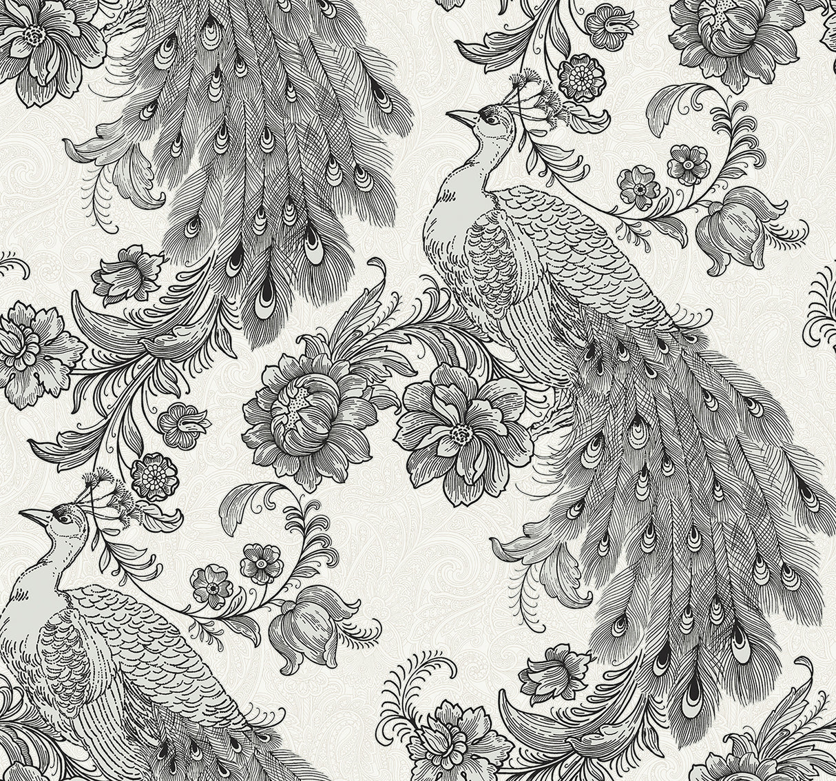 Ivory and ebony peel and stick wallpaper featuring illustrated peacocks with floral accents