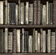 Faux Bookshelves peel and stick wallpaper pattern in shale brown tones with illustrated vintage books on shelves