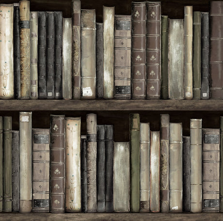 Faux Bookshelves peel and stick wallpaper pattern in shale brown tones with illustrated vintage books on shelves
