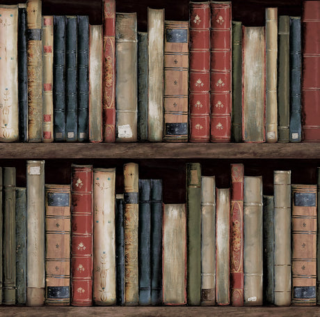 Faux Bookshelves peel and stick vinyl wallpaper in Earth & Ember colorway with vintage book spines on wood shelves.