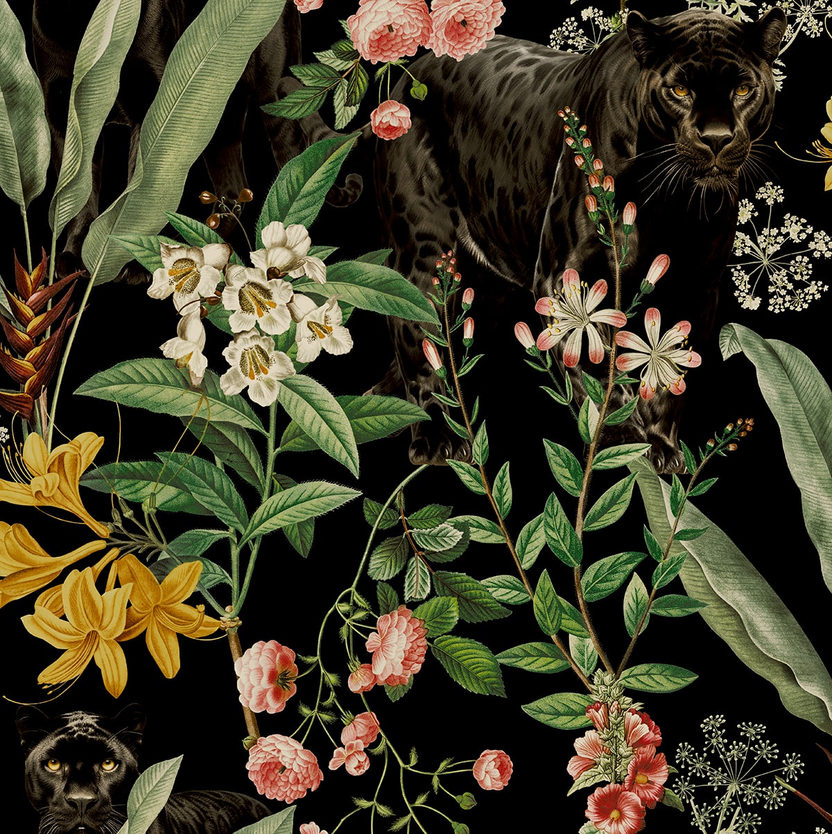 Onyx black panther and botanical floral peel and stick wallpaper