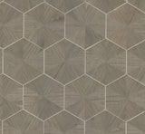 Hexagram Wood Veneer Caper Wallpaper with Metallic Feature Wall Hexagon Pattern - York HO2102GV