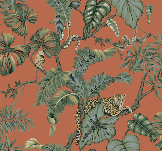 Jungle Cat Orange Wallpaper