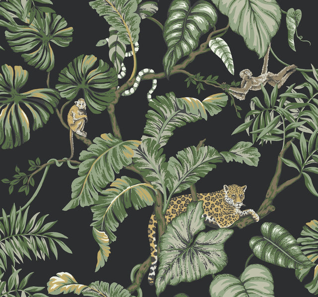 Jungle Cat Black Wallpaper with Tropical Jaguars, Monkeys & Palm Leaves - York HO2143