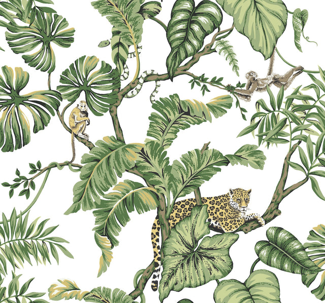 Jungle Cat White Wallpaper with Tropical Animal Motif - York HO2145