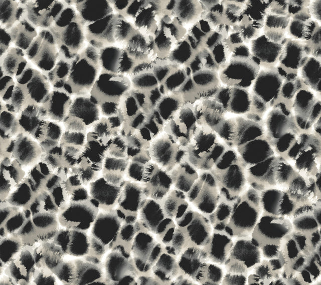 Leopard Rosettes Black & Off White Wallpaper with Watercolor Animal Print - York HO2164