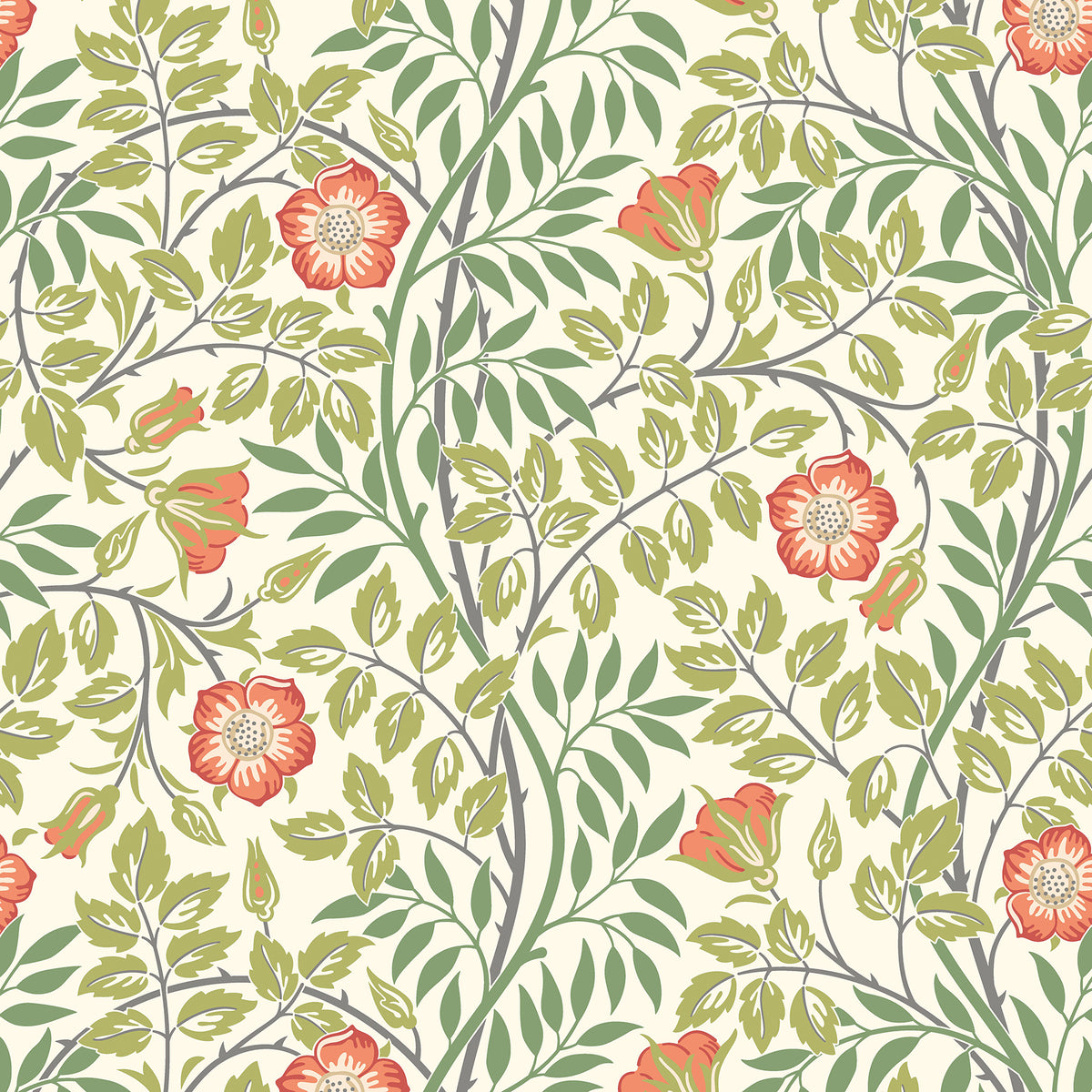 Rosehip Trail Coral Pink Peel and Stick Wallpaper by Hoopla Walls - HWA1098PU
