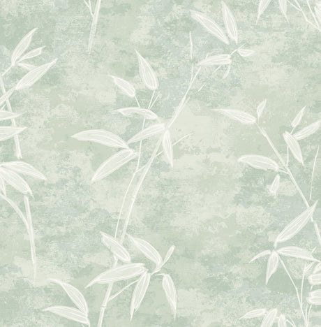 Honshu Bamboo wallpaper in seafoam green with white bamboo leaf silhouette pattern