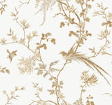 Bird & Blossom Chinoserie White & Gold Wallpaper with Botanical Chinoiserie Pattern - York KT2174