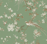 Bird & Blossom Chinoserie Green Wallpaper with Chinoiserie Botanical Birds Pattern  York KT2175