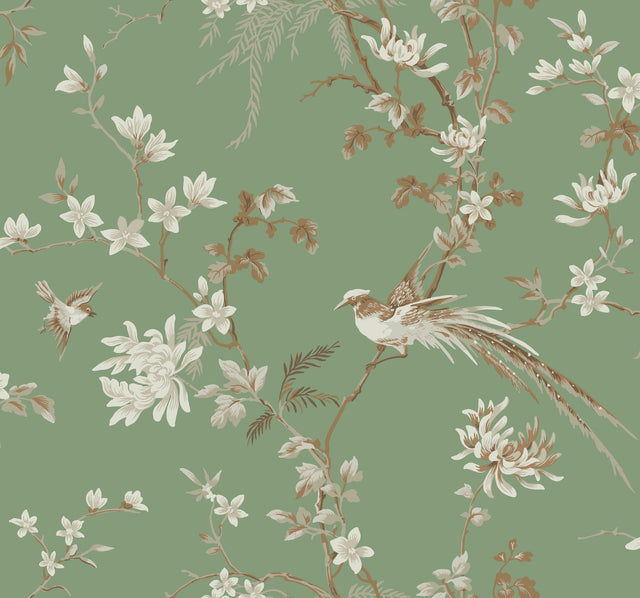 Bird & Blossom Chinoserie Green Wallpaper with Chinoiserie Botanical Birds Pattern  York KT2175