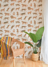 Kitty Kitty Tangerine Peel & Stick Wallpaper with Whimsical Novelty Cat Pattern - NuWallpaper LDS4584