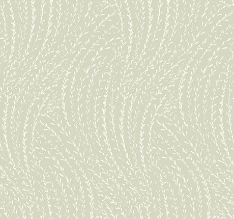 Willow Song Sage Botanical Wallpaper by Antonina Vella - LL3221