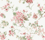 Veiled Garden Pink Floral Wallpaper by Antonina Vella - LL3231