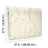 Meadow Splendor Salmon by Antonina Vella Botanical Prairie Grass Non Woven Unpasted Washable Strippable Wallpaper Layered Luxe - LL3238