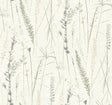 Meadow Splendor Charcoal Botanical Wallpaper by Antonina Vella - LL3240
