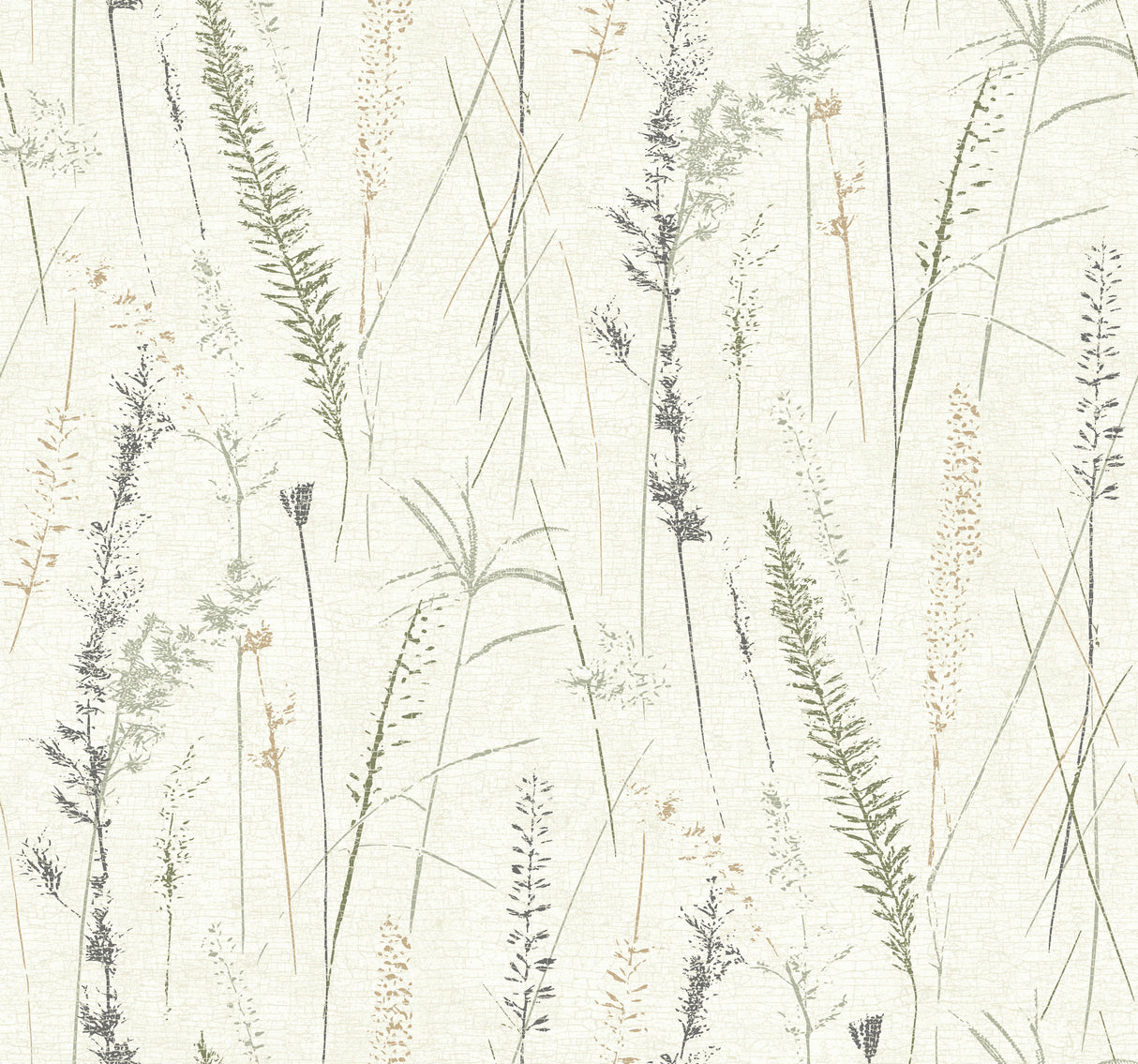 Meadow Splendor Charcoal Botanical Wallpaper by Antonina Vella - LL3240