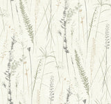 Meadow Splendor Charcoal Botanical Wallpaper by Antonina Vella - LL3240