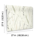 Meadow Splendor Charcoal by Antonina Vella Unpasted Non Woven Botanical Prairie Grass Wallpaper Roll 27 in x 27 ft - LL3240