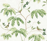 Cillian Green Botanical Bird Trail Wallpaper by Antonina Vella - LL3250