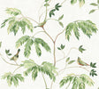 Cillian Green Botanical Bird Trail Wallpaper by Antonina Vella - LL3250