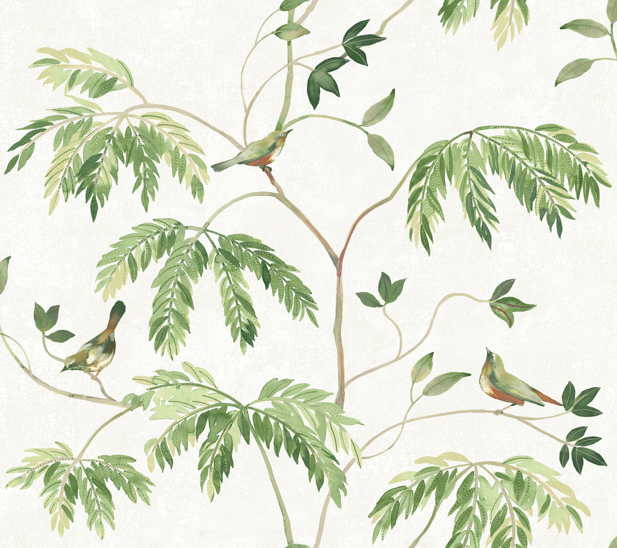 Cillian Green Botanical Bird Trail Wallpaper by Antonina Vella - LL3250