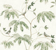 Cillian Dark Green Botanical Bird Trail Wallpaper by Antonina Vella - LL3251