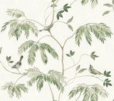 Cillian Dark Green Botanical Bird Trail Wallpaper by Antonina Vella - LL3251