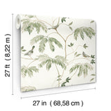 Cillian Dark Green by Antonina Vella Botanical Bird Trail Unpasted Non Woven Wallpaper 27in x 27ft Roll Covering About 60.8 Square Feet - LL3251