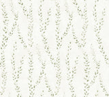 Alpenrose Moss Vine Wallpaper in Moss Green by Antonina Vella - LL3252