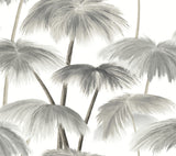 Plein Air Palms Black & White Tropical Wallpaper with Impressionist Palm Fronds - York LM5432