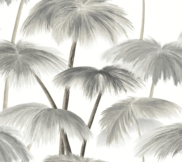 Plein Air Palms Black & White Tropical Wallpaper with Impressionist Palm Fronds - York LM5432